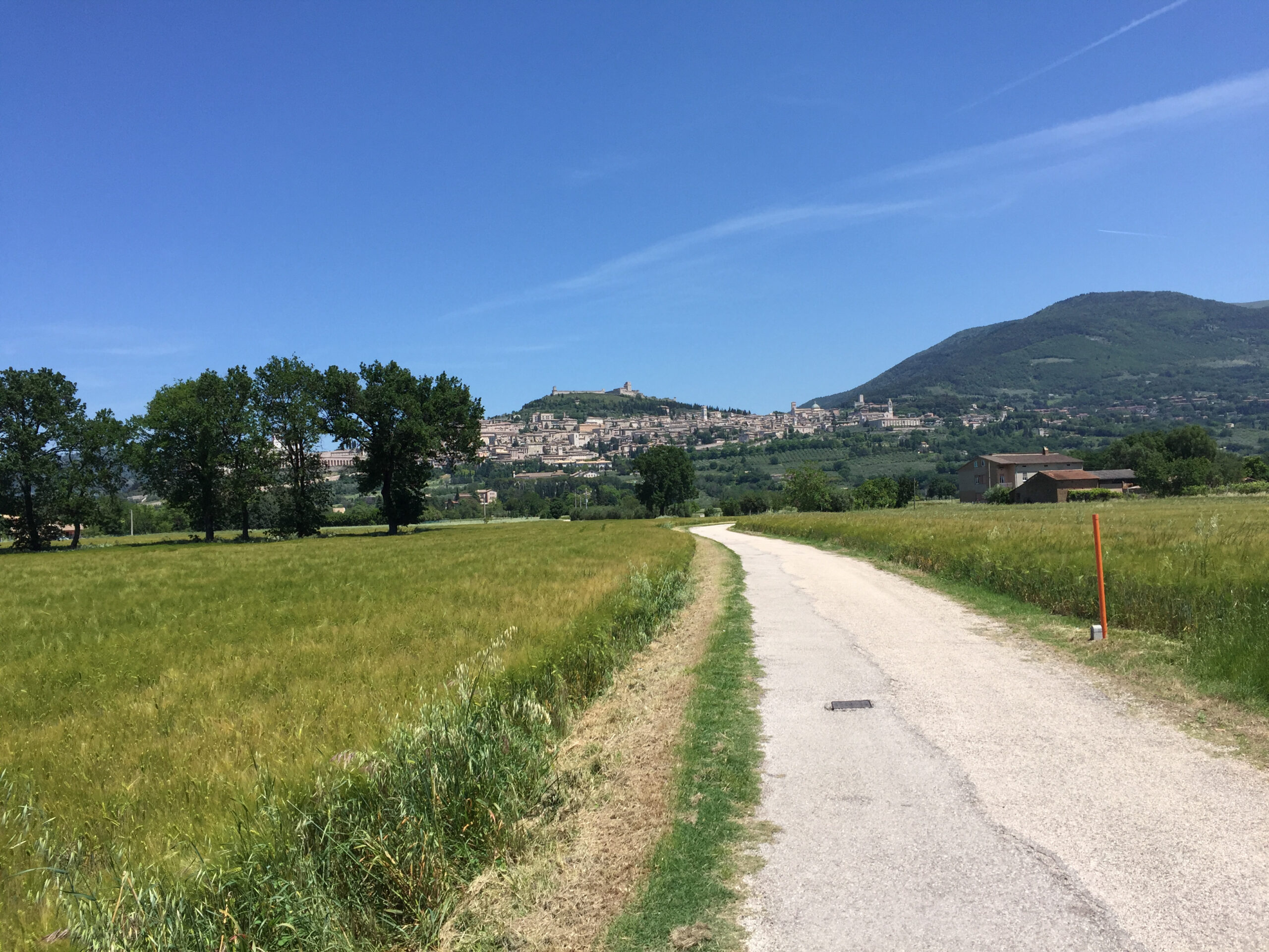 Assisi